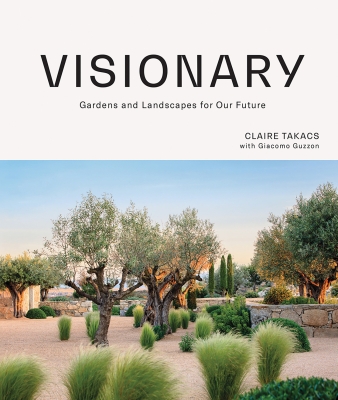 Book cover image - Visionary