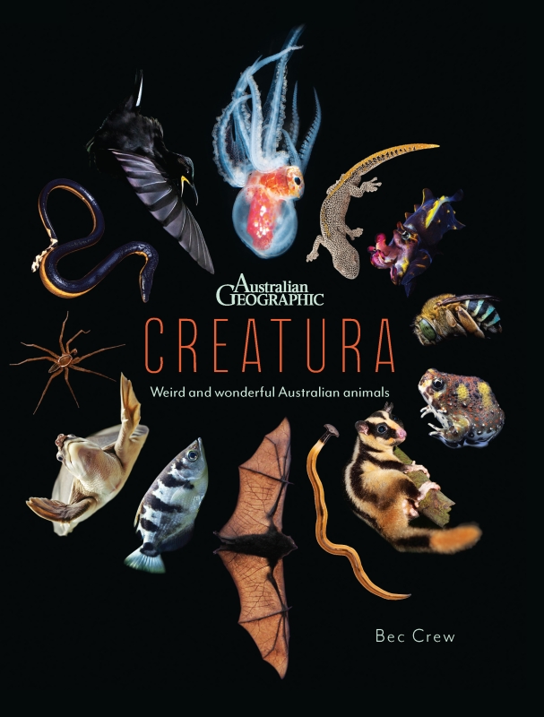 Book cover image - Creatura                                                    