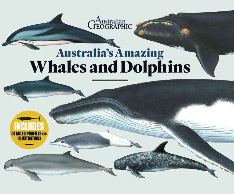 Book cover image - Australia’s Amazing Whales and Dolphins                     